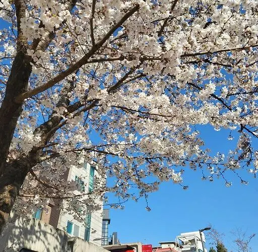 Apartment 홍대 # H101 Seoul